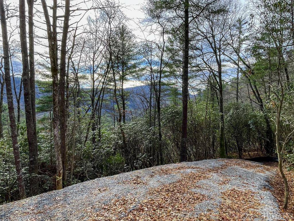 Cashiers, NC 28717,Lot 5 Saratay Falls Drive