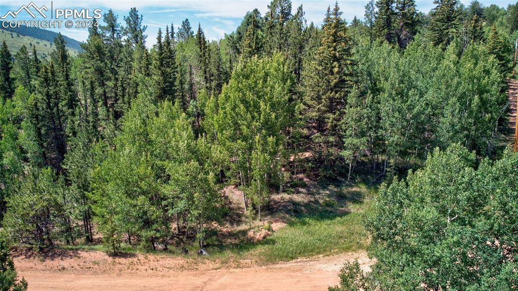 Cripple Creek, CO 80813,158 Rattler CT