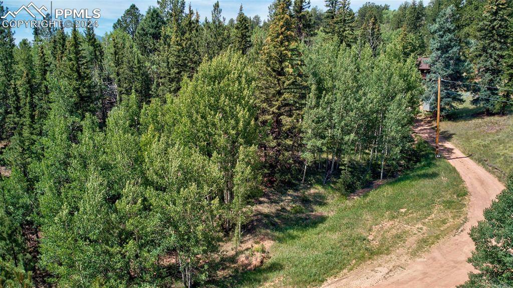 Cripple Creek, CO 80813,158 Rattler CT