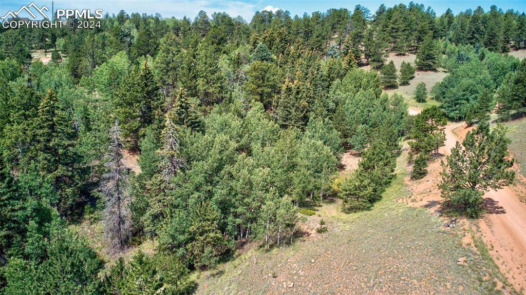 Cripple Creek, CO 80813,158 Rattler CT