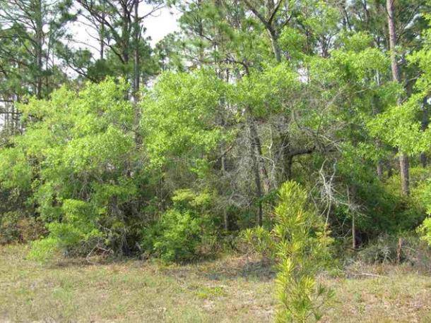 Panacea, FL 32346,Lot 7 Lucy Ln