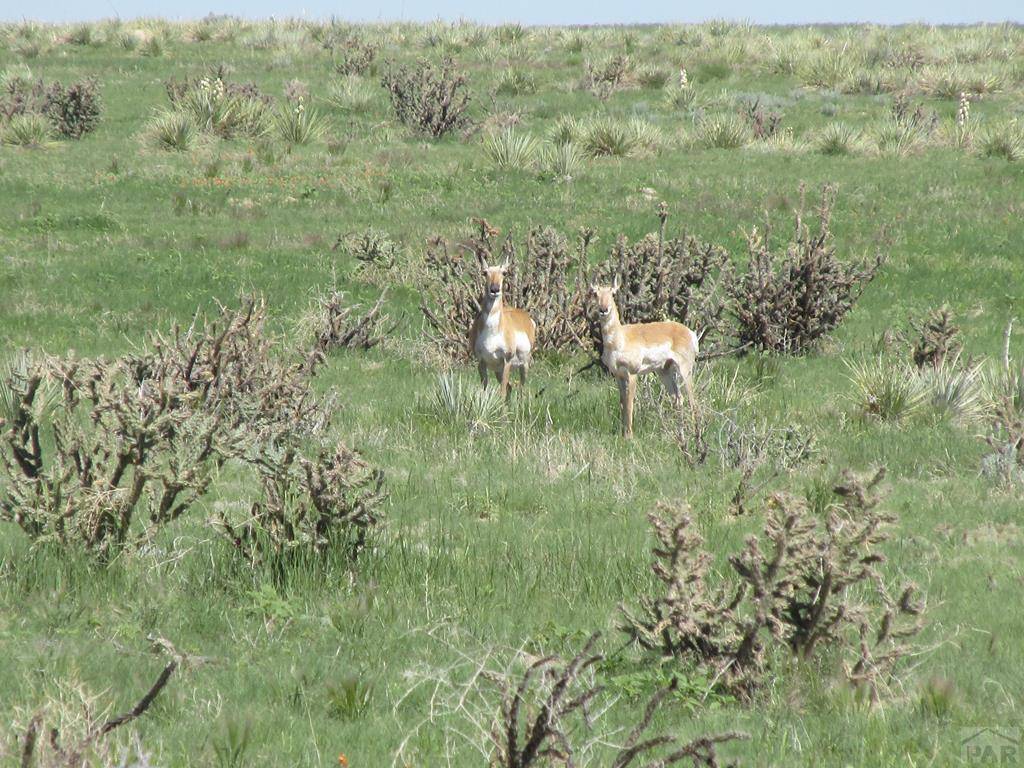 Pueblo, CO 81004,TBD Katahdin