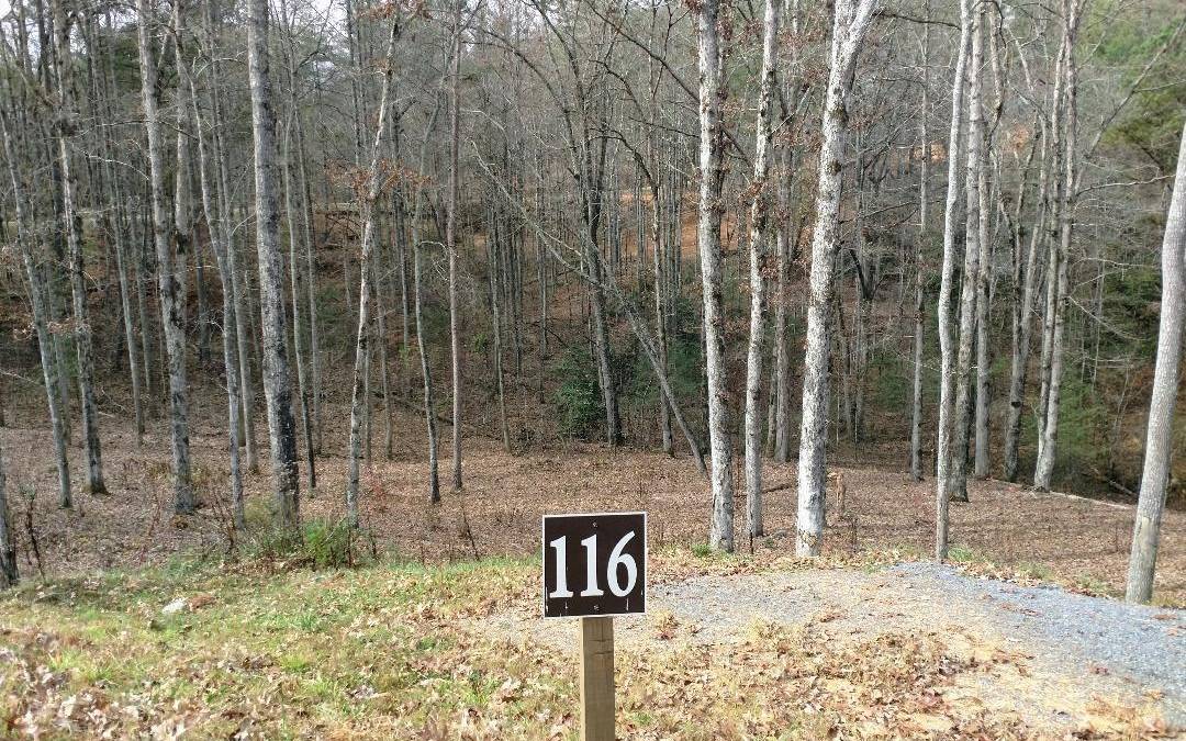 Ellijay, GA 30540,Lot #116 Jakes Landing Overlook