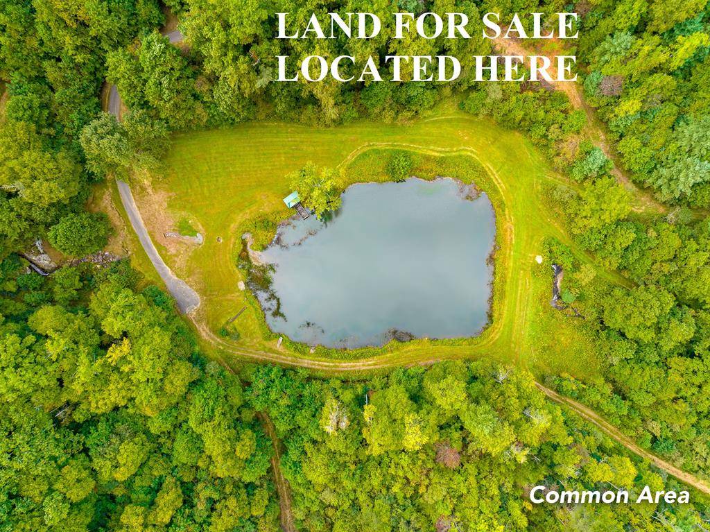 Fancy Gap, VA 24328,1.6 Acre Old Pond Trl