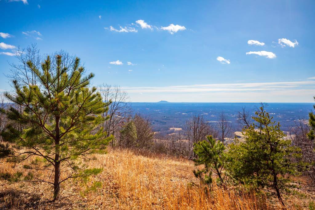 Fancy Gap, VA 24328,87 Acre Reflections Point Trl