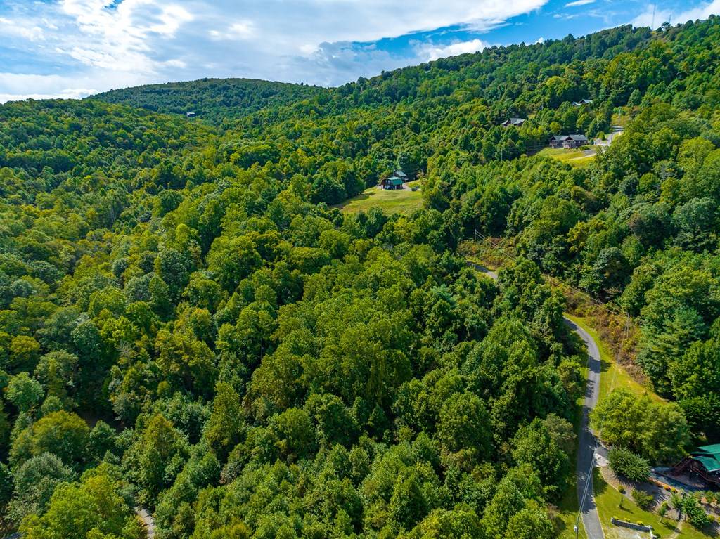 Fancy Gap, VA 24328,654 Covered Bridge Trl