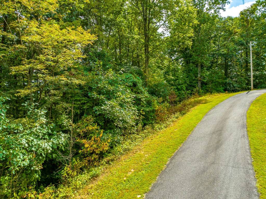 Fancy Gap, VA 24328,8 Lots Covered Bridge Trl