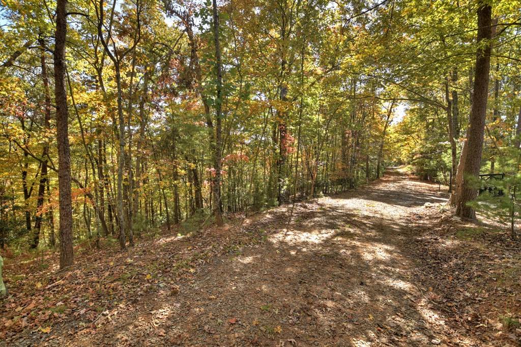 Ellijay, GA 30540,Lot 53 Whitepath Circle N