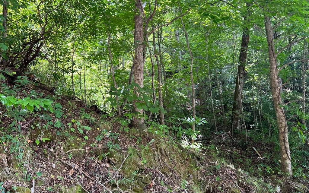 Hayesville, NC 28904,Lot 77 Fires Creek Cove