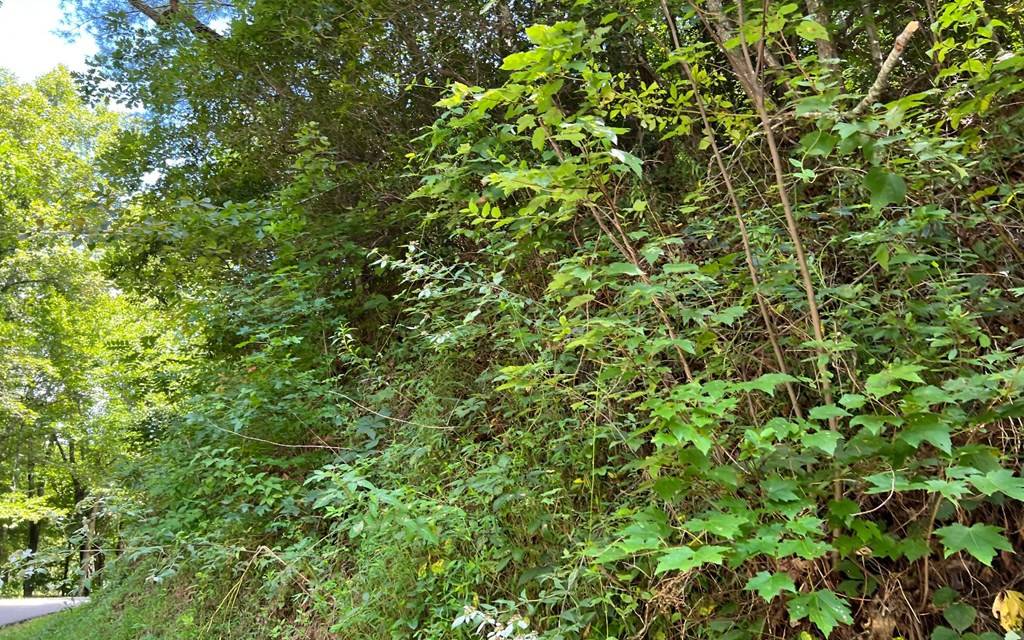 Hayesville, NC 28904,Lot 77 Fires Creek Cove