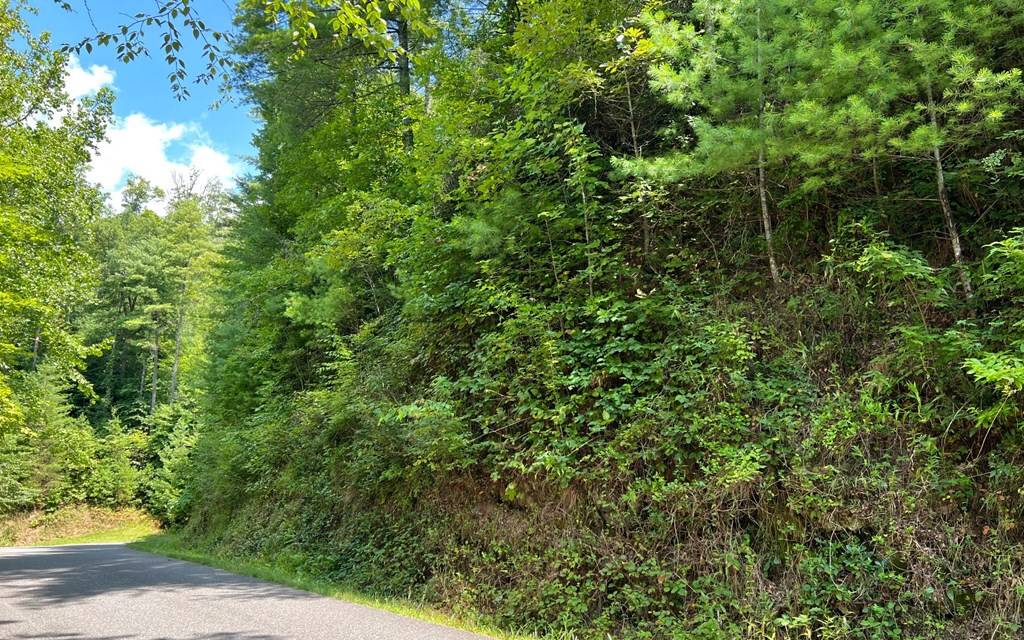 Hayesville, NC 28904,Lot 76 Fires Creek Cove