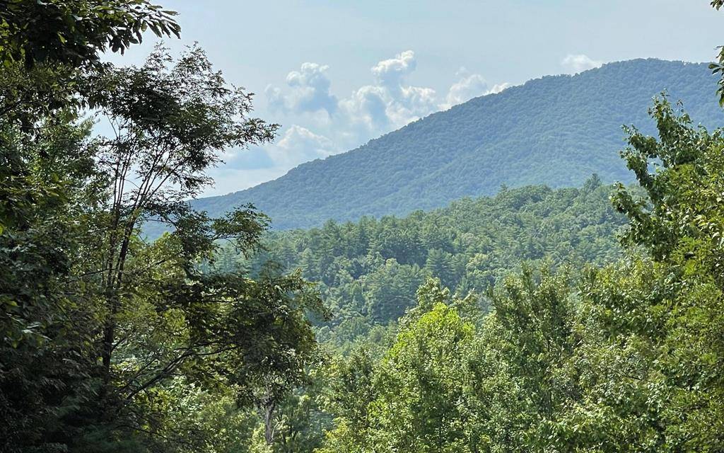 Hayesville, NC 28904,Lot 72 Fires Creek Cove