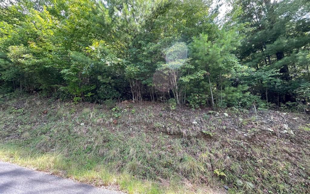 Hayesville, NC 28904,Lot 72 Fires Creek Cove