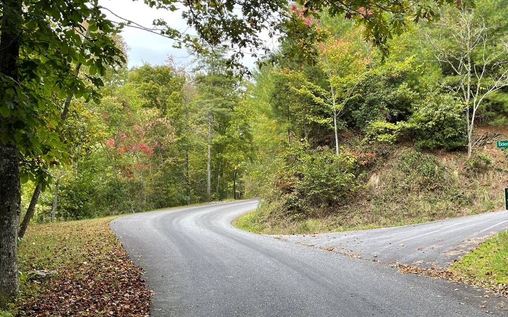 Hayesville, NC 28904,Lot 59 Fires Creek Cove