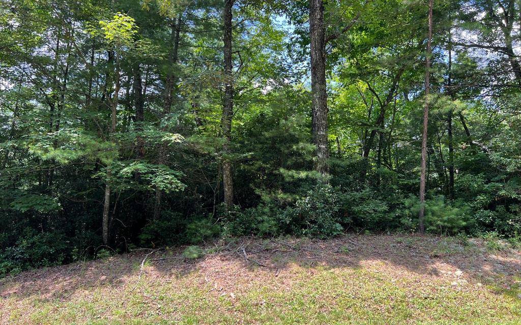 Hayesville, NC 28904,Lot 32 Fires Creek Cove