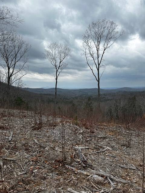 Ellijay, GA 30541,Lot 173 Shagbark Court