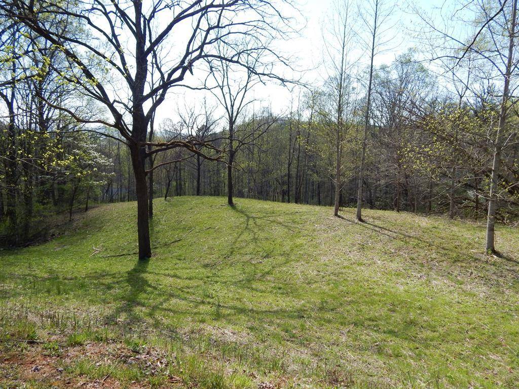 Hayesville, NC 26906,Lot 6 High Meadows