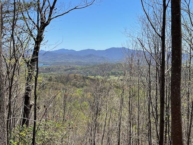 Hayesville, NC 26906,Lot 11 Longview Drive