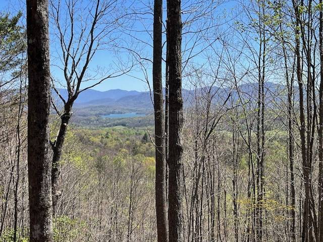 Hayesville, NC 26906,Lot 11 Longview Drive