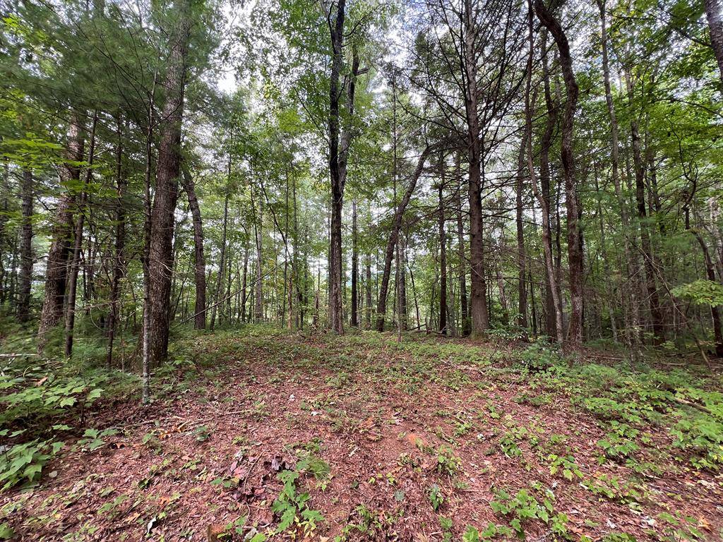 Ellijay, GA 30540,0 Whitecliff Drive