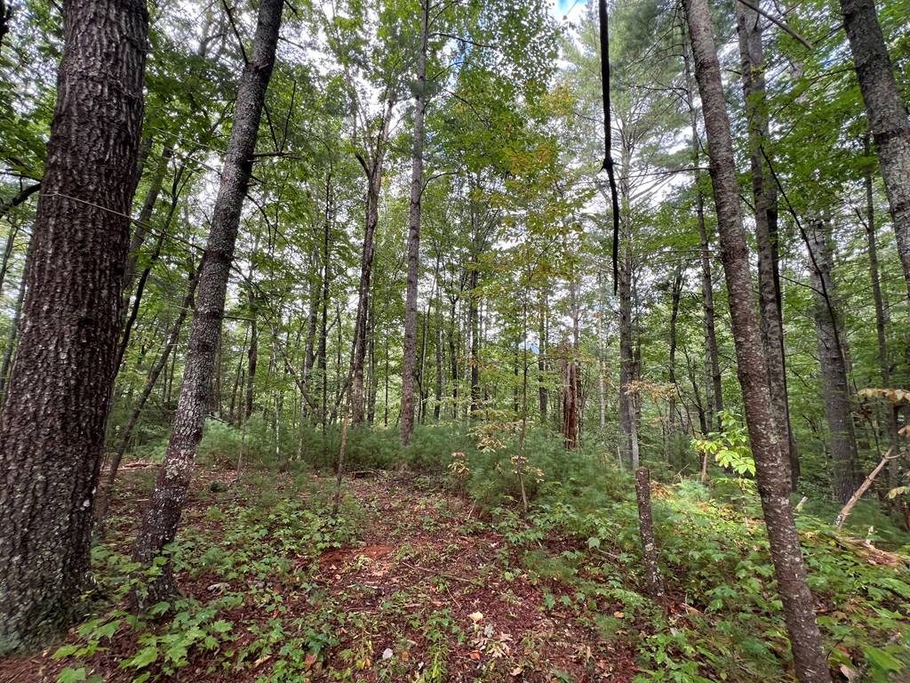 Ellijay, GA 30540,0 Whitecliff Drive