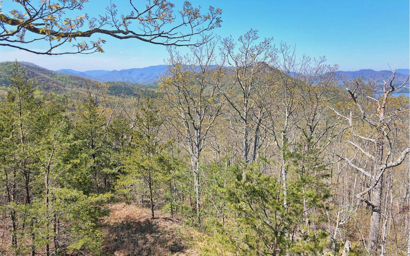 Hiawassee, GA 30546,3015 Jump Off Ridge Tr 15