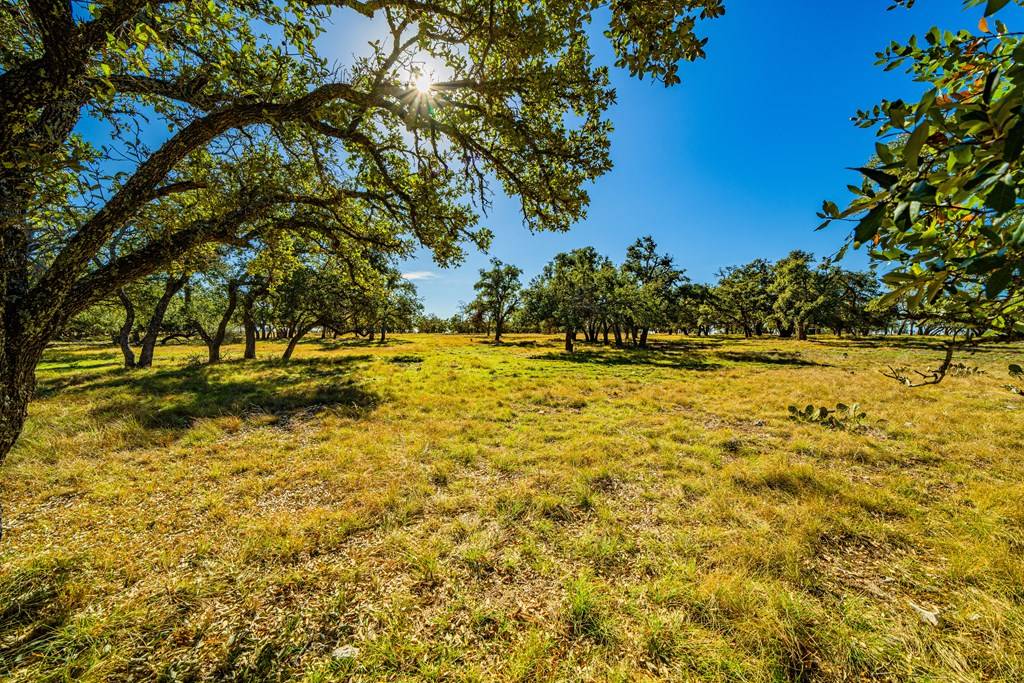 Harper, TX 78631,Lot 5 -- FM 2093