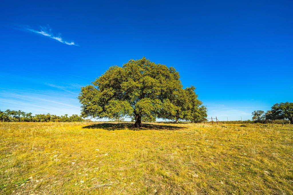 Harper, TX 78631,Lot 9 -- FM 2093