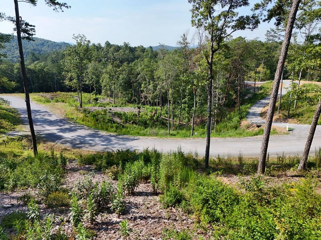 Mineral Bluff, GA 30559,Lot 3 Mountain Laurel Ridge