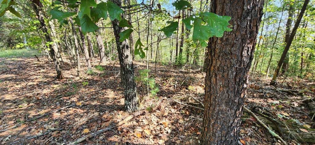 Talking Rock, GA 30175,Lot 1699 Shade Tree Drive