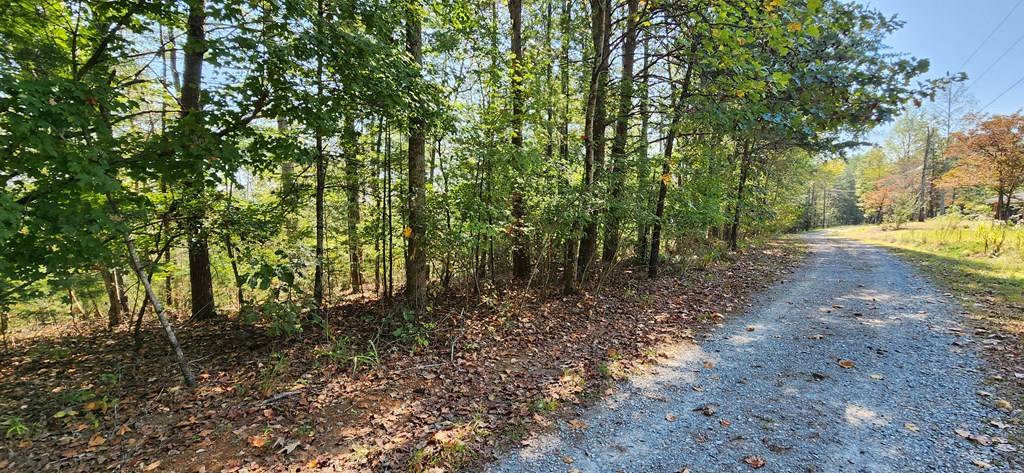 Talking Rock, GA 30175,Lot 1699 Shade Tree Drive