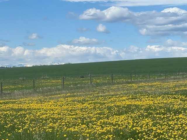 Rural Mountain View County, AB T0M0R0,30264 Range Road 40