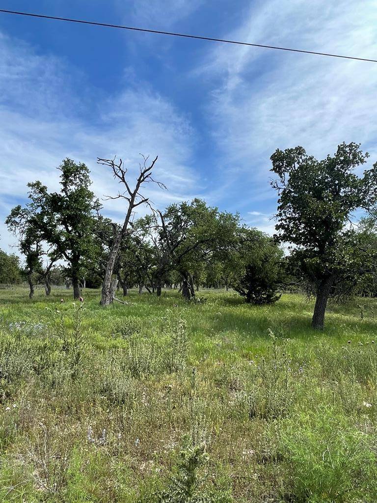 Harper, TX 78631,Lot 20 -- Scott Branch Rd