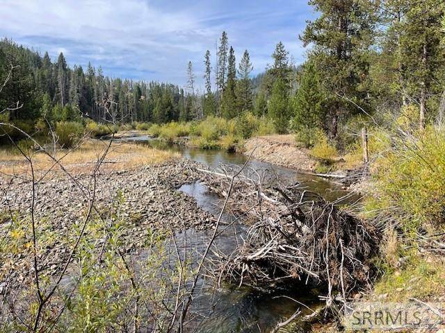 Salmon, ID 83467,TBD Napias Creek Road