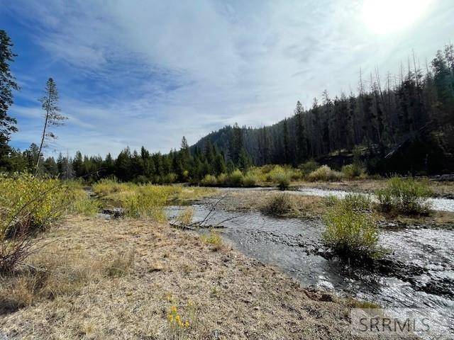 Salmon, ID 83467,TBD Napias Creek Road