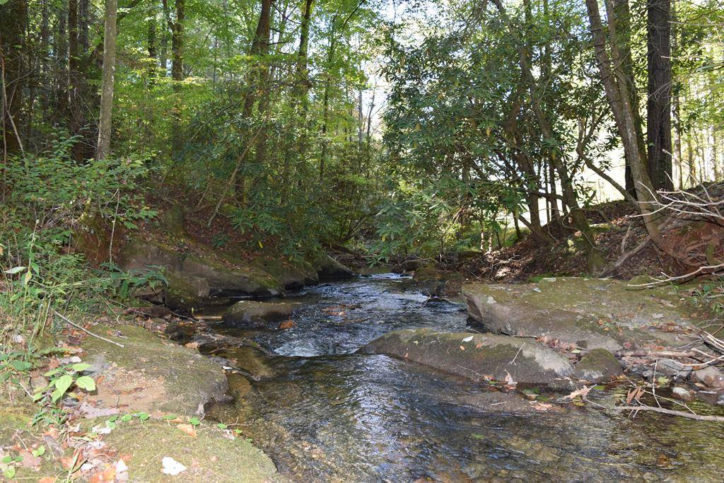 Ellijay, GA 30540,32.98 Ac Zion Hill Road