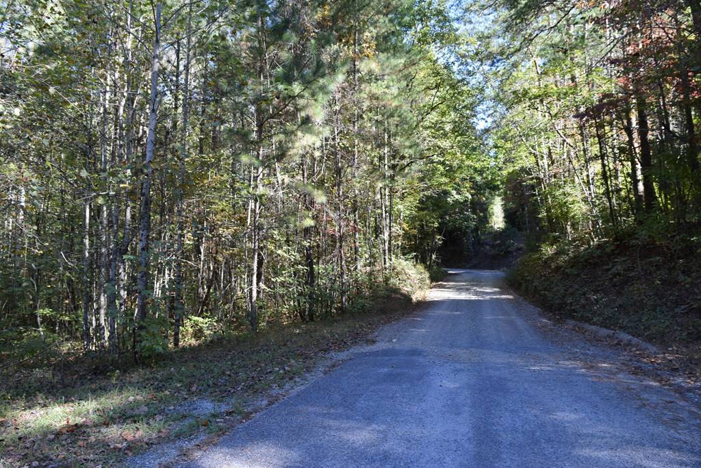 Ellijay, GA 30540,32.98 Ac Zion Hill Road