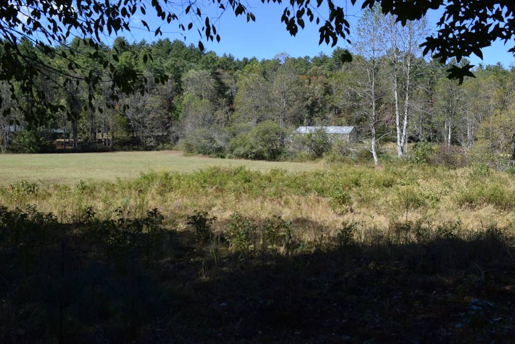 Ellijay, GA 30540,32.98 Ac Zion Hill Road