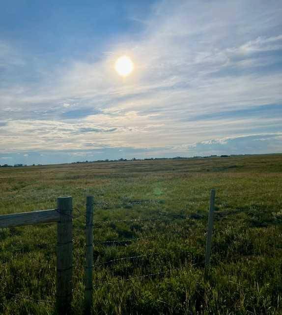 Rural Wheatland County, AB T1P2C5,NE 16 24 24 w4 RANGE ROAD 243