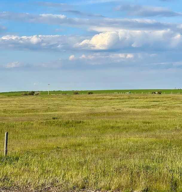 Rural Wheatland County, AB T1P2C5,NE 16 24 24 w4 RANGE ROAD 243