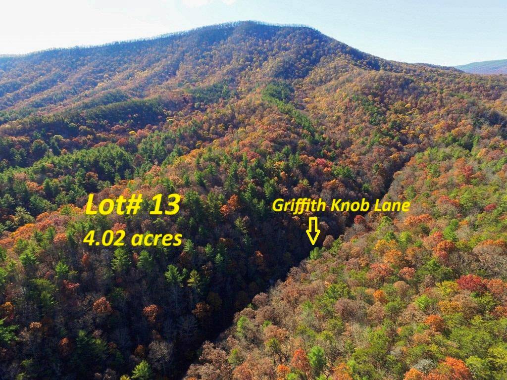 Wytheville, VA 24382,Lot 13 Griffith Knob Lane