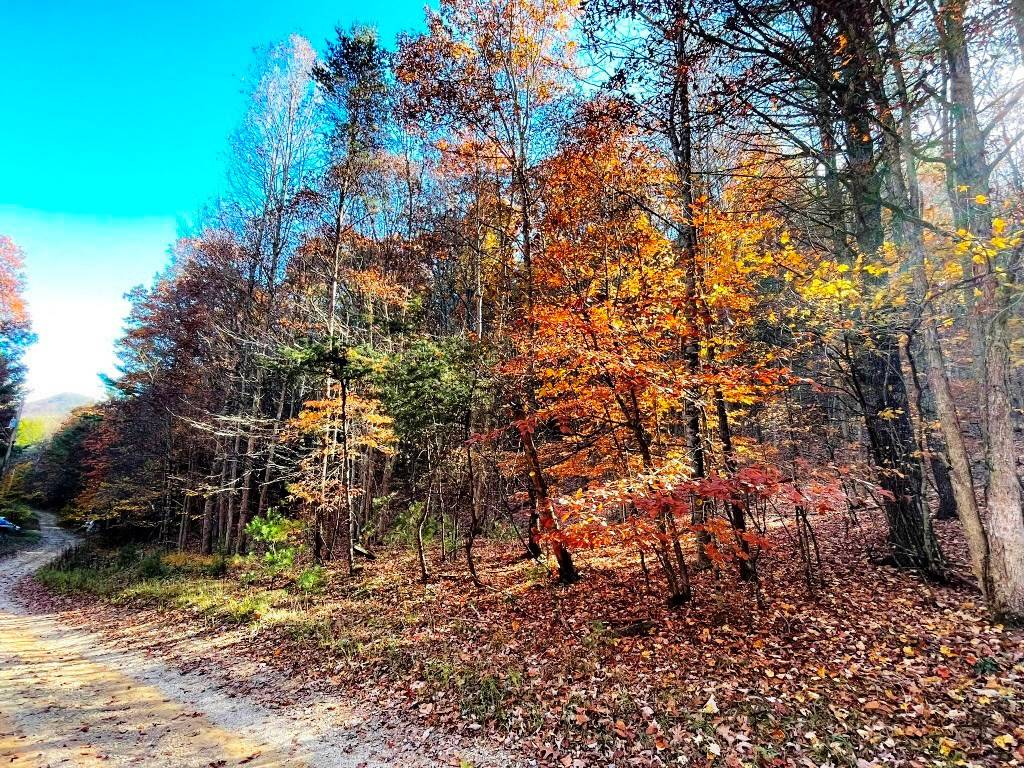 Wytheville, VA 24382,Lot 13 Griffith Knob Lane