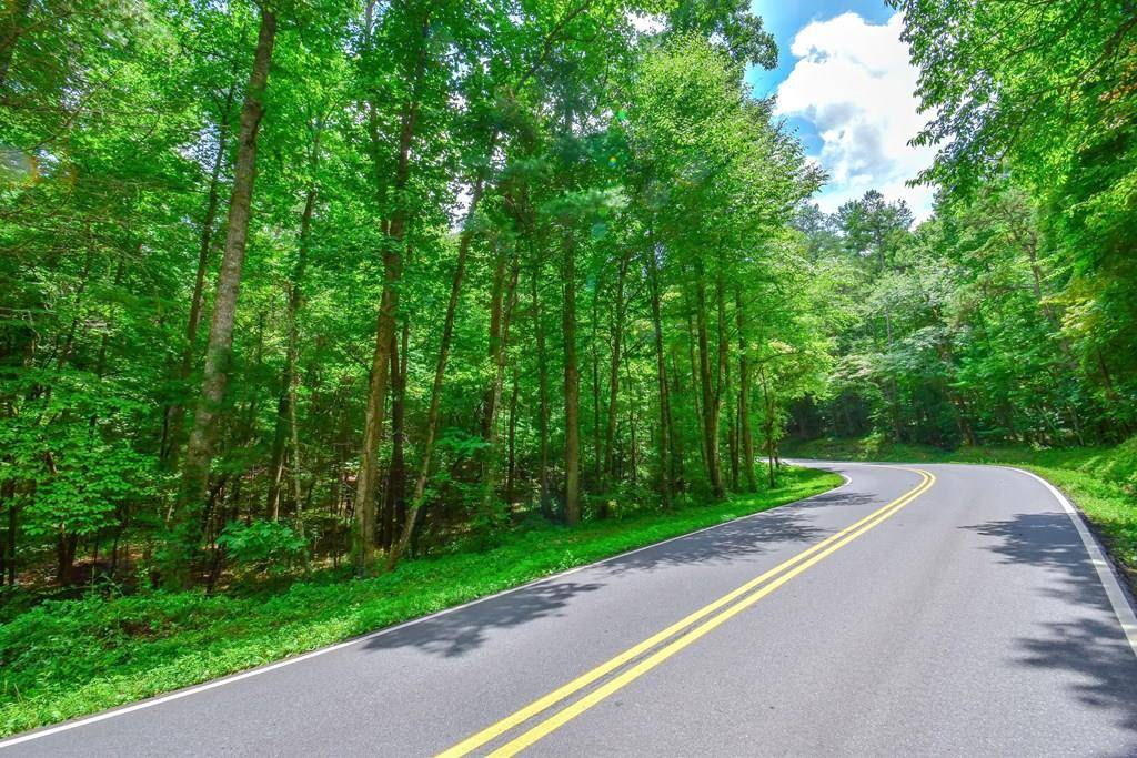 Morganton, GA 30560,11.98AC Maple Grove Road