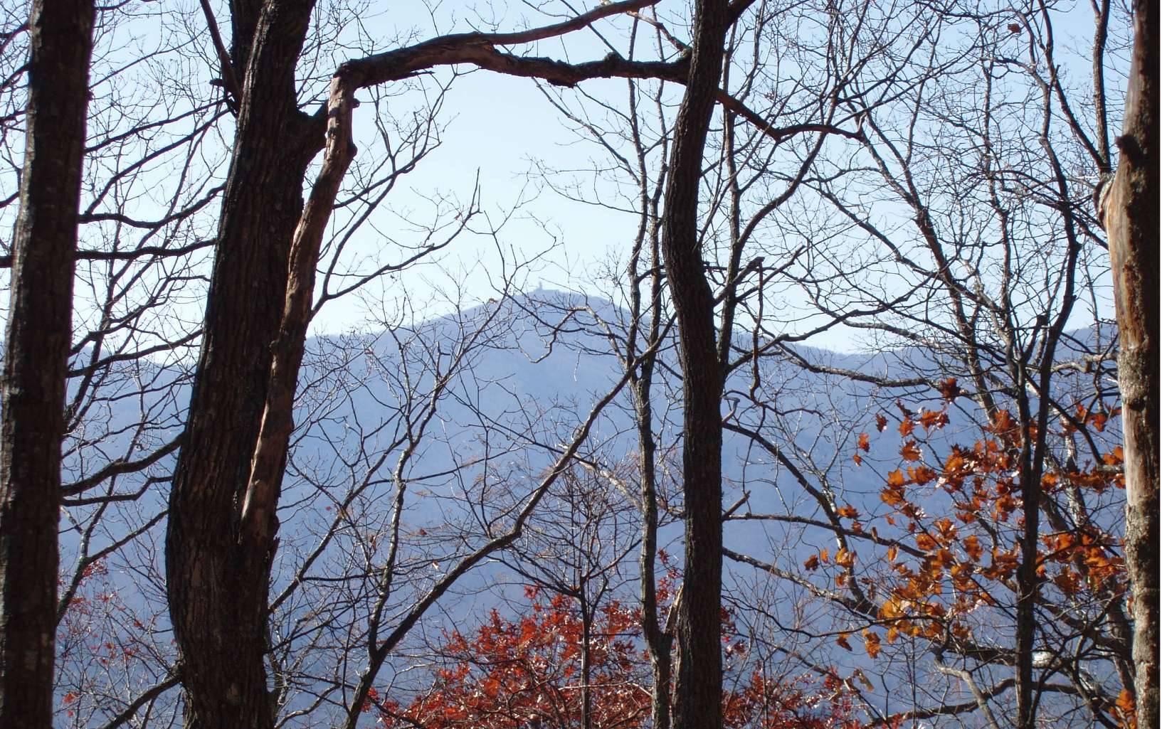 Hiawassee, GA 30546,LOT 2 Caesar Gap Road