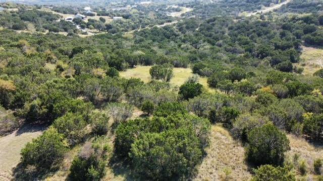 Bluff Dale, TX 76433,655 Overlook Ridge