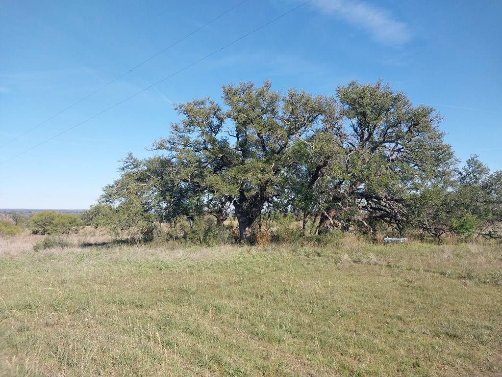 Llano, TX 78643,2540 W County Rd 403