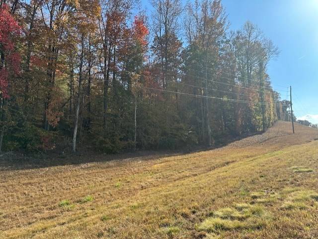 Ellijay, GA 30536,26.79ac Hwy 515