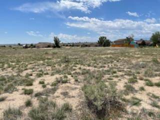 Pueblo West, CO 81007,1167 E Orchid Dr