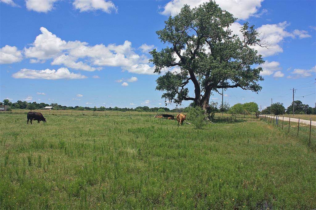 Glen Rose, TX 76043,1073 County Road 327