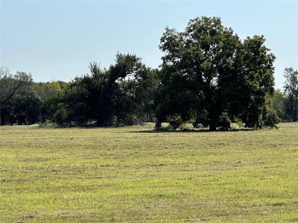 Kaufman, TX 75142,TBD Lot 8 County Road 115